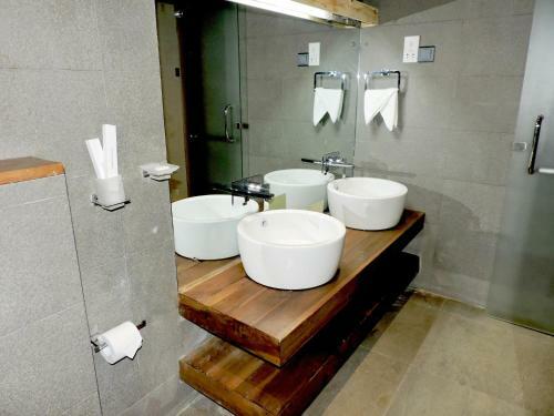 Hotel Ballena Regency