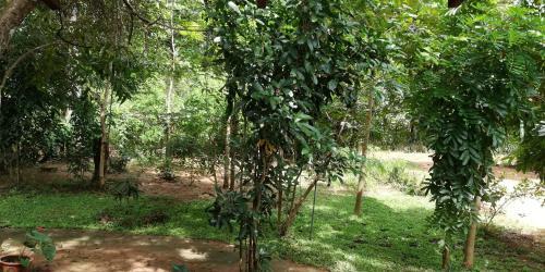 Hostal Nature Villa