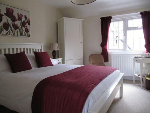Hostal Little Forest Lodge