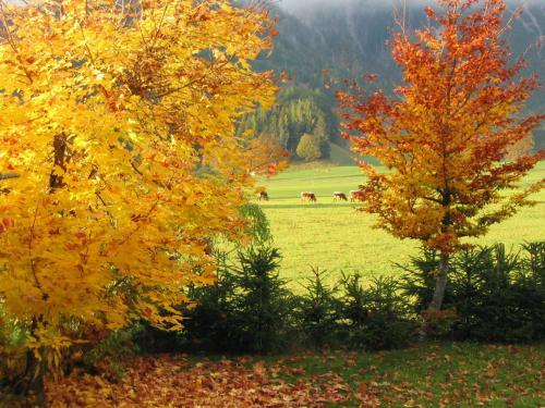 Apartamento Appartementhaus Sonne