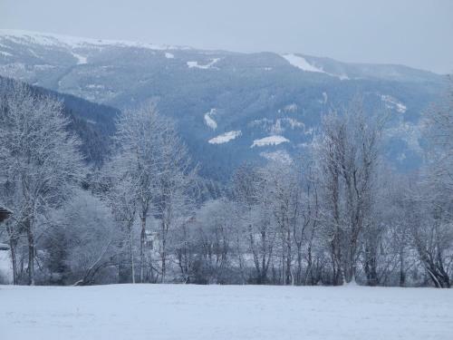Chalet Freiblick