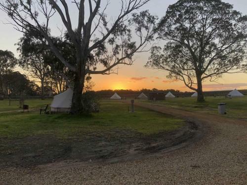 Apartamento Coonawarra Cabins Unit D