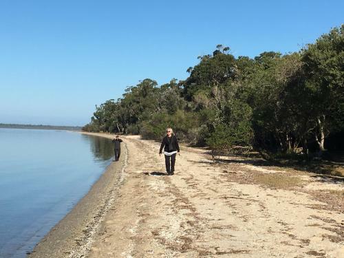 Swan Cove Beachfront