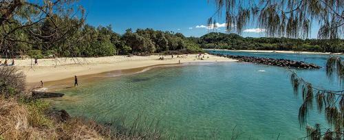 Bed & Breakfast Big Love - Byron Bay Hinterland