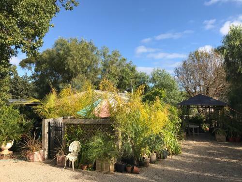 Hostal Orchard Garden