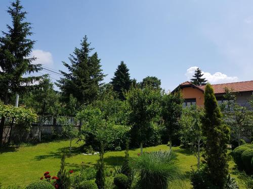 Hostal Apartment Paradise Enver