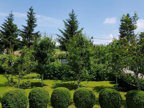 Hostal Apartment Paradise Enver