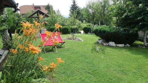 Hostal Apartments Dedic