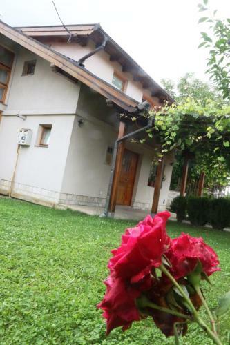 Villa Sarajevo Vila Zuko
