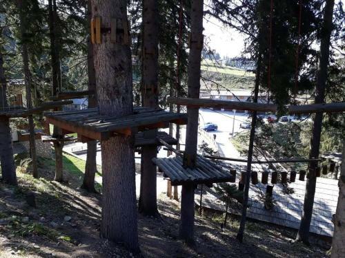 Apartman Asja