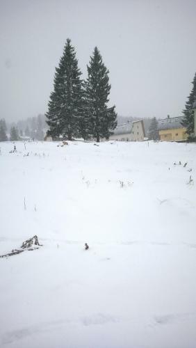Apartman Asja