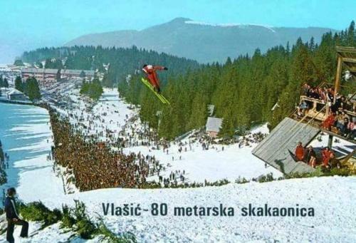 Apartmani ( Vila ) Vucko