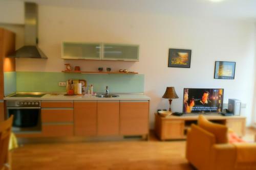 Vu?ko Apartment