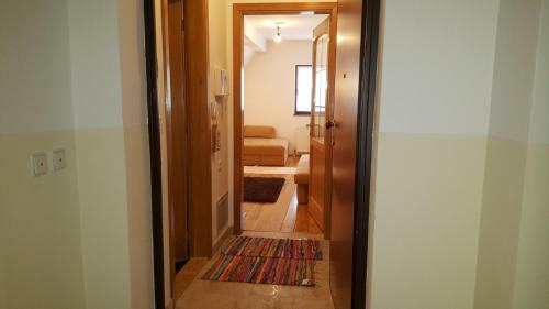 Apartment Ammar