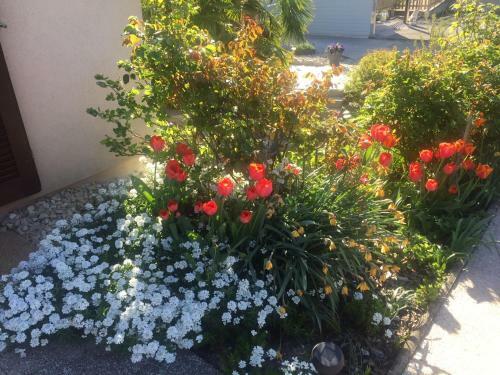 Bed & Breakfast Bnb Parisod