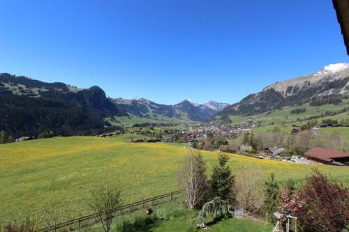 Apartamento Chalet Du Mont