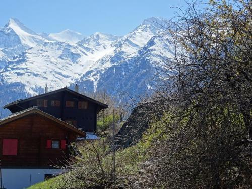 Apartamento La Collina