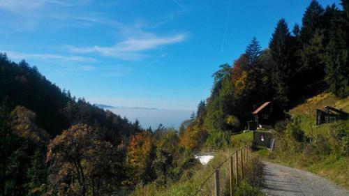 Apartamento Ferienwohnung "am Halbenstein"