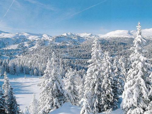 Chalet Stadl Chalet 124