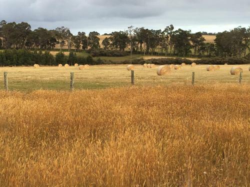Margaret River Farmhouse