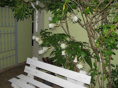 Hostal Residencial E Pousada 663