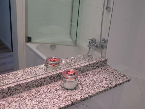 Swiss Seeblick Apartment Mit Hotelanbindung
