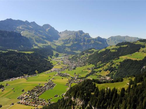 Apartment Alpenstrasse 4