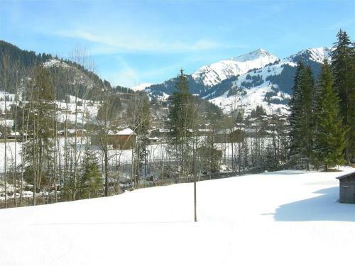Apartment Steimandli