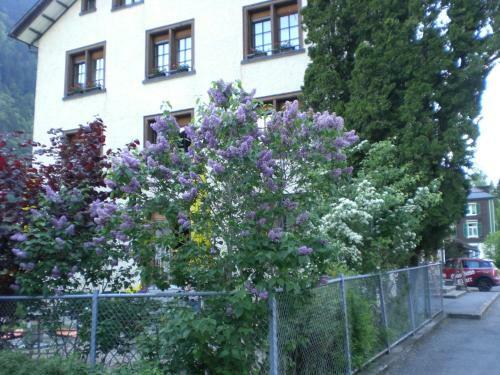 Posada Gasthaus Elmer