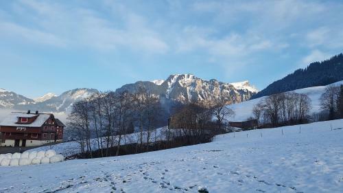 Apartamento Enzian Chalet