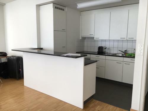 Terrace Apartment Luzern