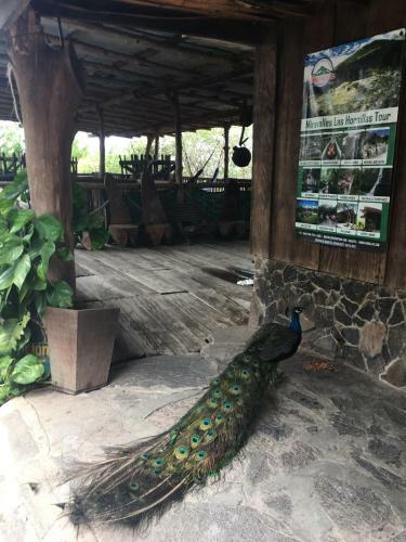Posada Las Hornillas Tours