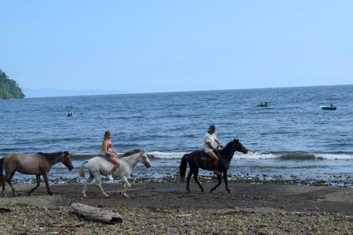 Lodge Dolphin Quest Costa Rica