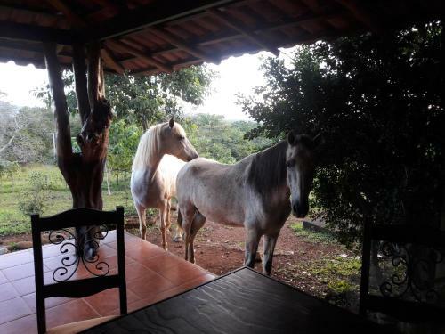 Hostal Casa Bellavista Montezuma
