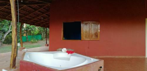 Casa Pitaya