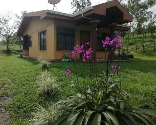 Caba�a Arenal View #3