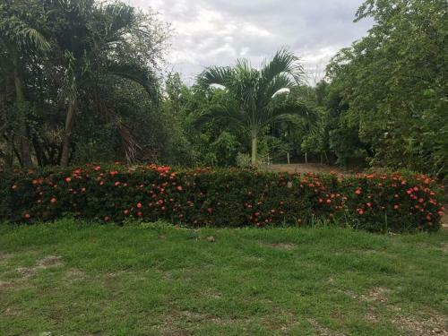 Apartamento Cabinas Alemar