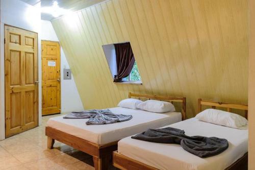 Motel Mapi's Cabins
