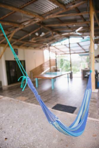 Tarzan Jungle Home Honeymoon Treehouse
