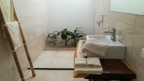 Boutique Hotel Ana