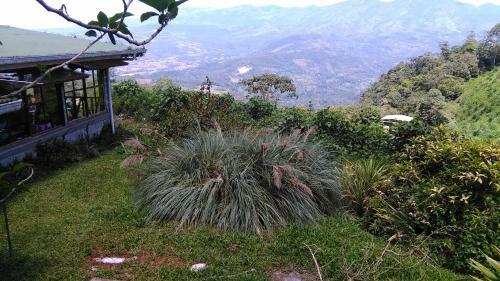Finca Y Granja Loma Bonita