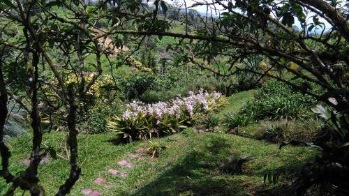 Finca Y Granja Loma Bonita