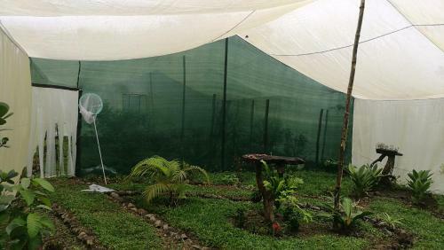 Agroturismo Mariposario R�o Celeste