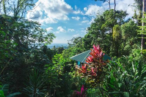 Bed & Breakfast Selva Armonia
