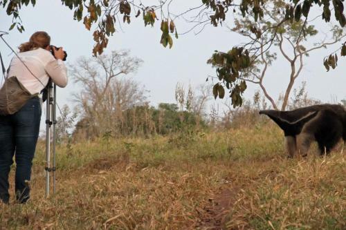 Bed & Breakfast Pantanal Ranch Meia Lua