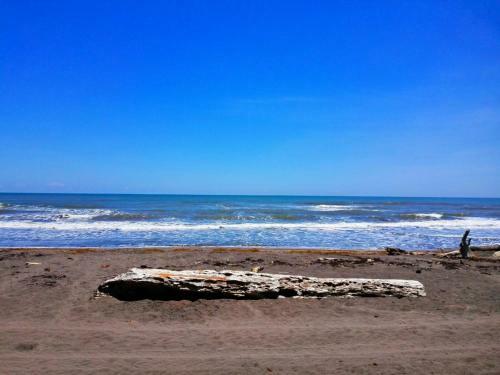Hostal Casa Turtle Bogue