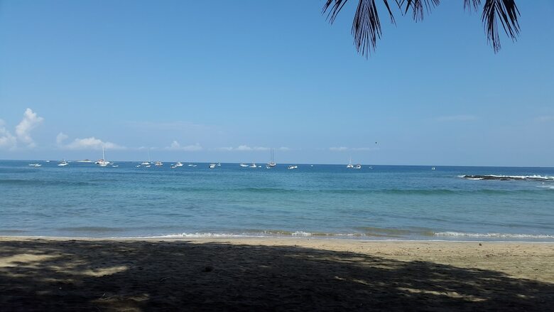 Hotel La Palapa