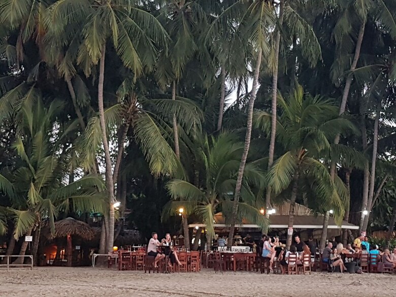 Hotel La Palapa