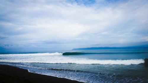 Hostal Surf House Pavones