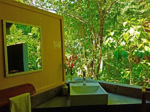 Hotel Tiskita Jungle Lodge